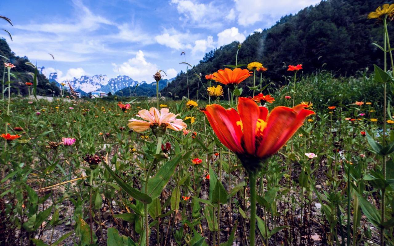 Whispering Mountains Boutique Hotel จางเจียเจี้ย ภายนอก รูปภาพ