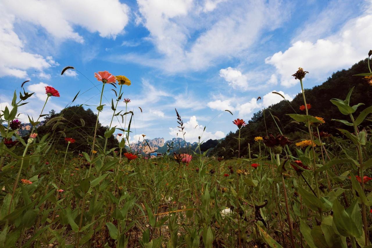 Whispering Mountains Boutique Hotel จางเจียเจี้ย ภายนอก รูปภาพ